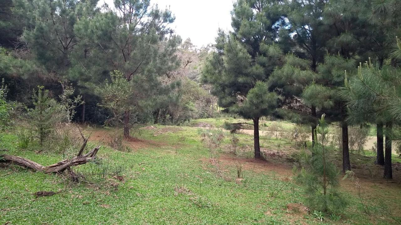 Chale Estancia Ouro Verde 라제스 외부 사진