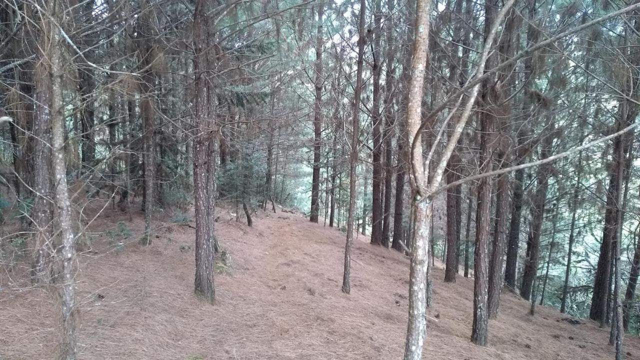 Chale Estancia Ouro Verde 라제스 외부 사진